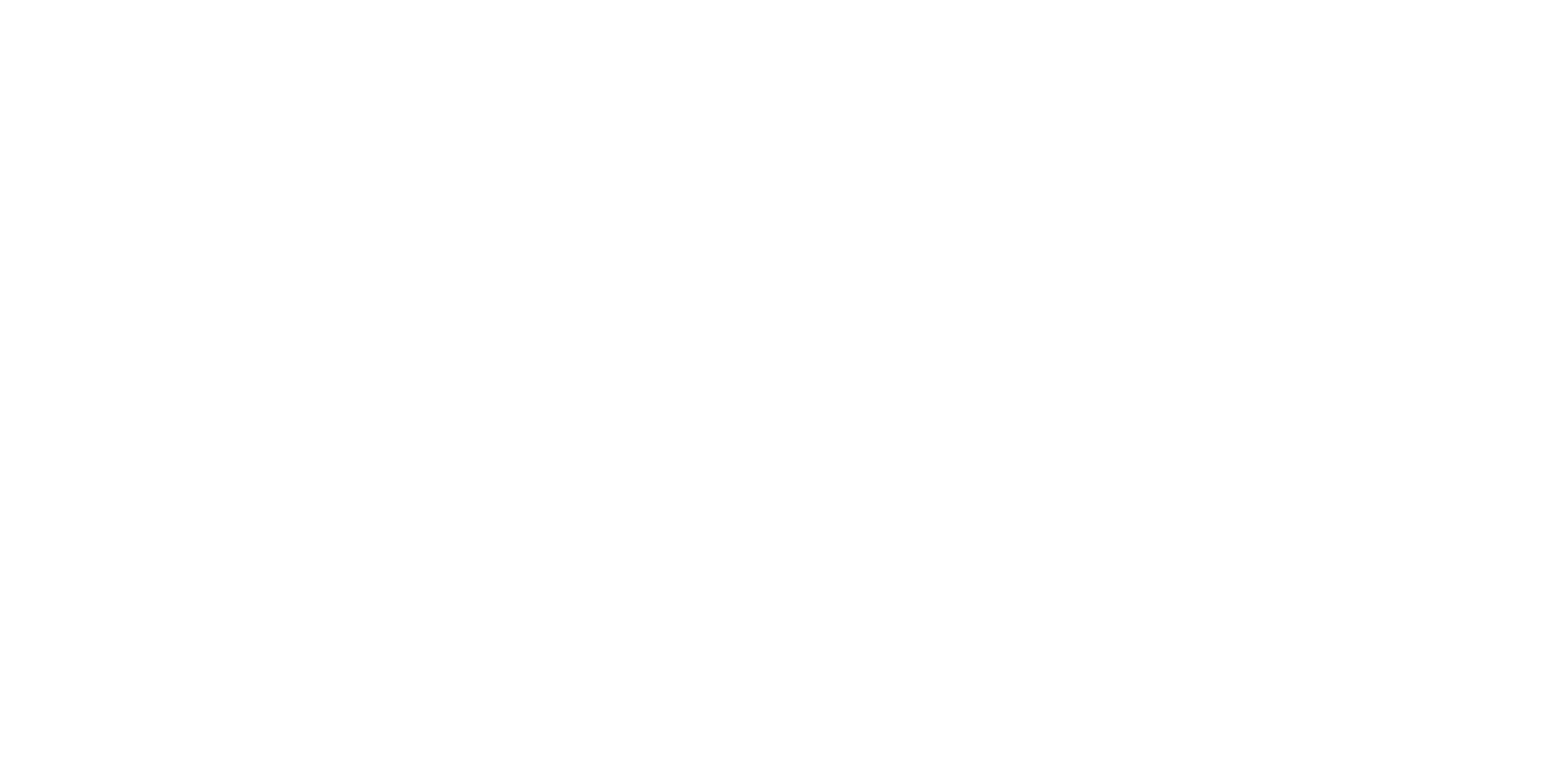 Tasman Van Fitouts